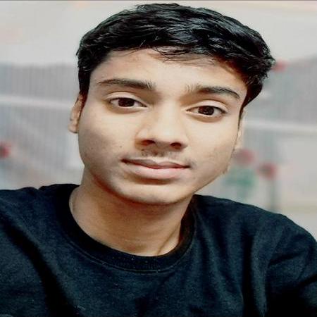 Developer Rajesh100 Rajesh Mondal Github - Premium Geometric Design Gallery - Mobile