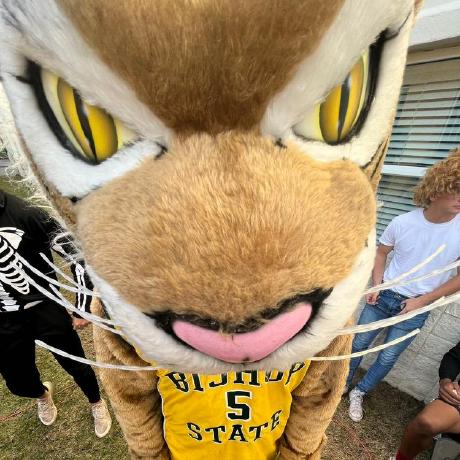 Maa Moreno Github - Minimal Art Collection - Mobile Quality