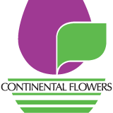 Continentalnode The Continental Github - Premium Geometric Design Gallery - 4K