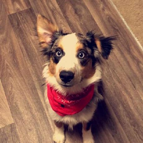 Hannah Owolabi Hannah Owolabi Github - Creative City Wallpaper - 8K