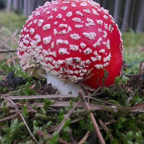 Ejseader Eric Seader Github - Mountain Art Collection - HD Quality