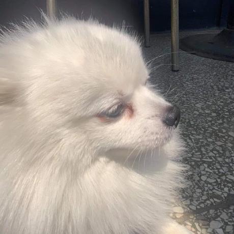 Hyun Jaewon Github - Full HD Abstract Arts for Desktop