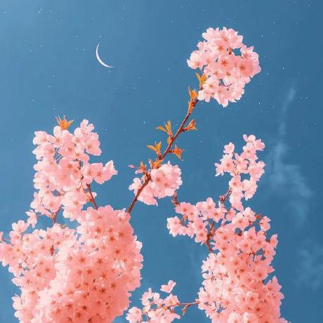 Hwj Numpy Hwj Github