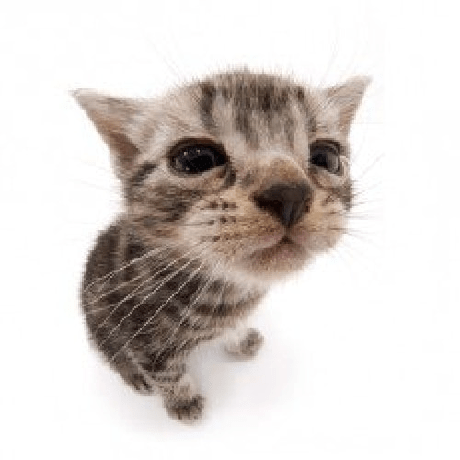 Github Lahmlara Nikel - Beautiful Abstract Photo - Mobile