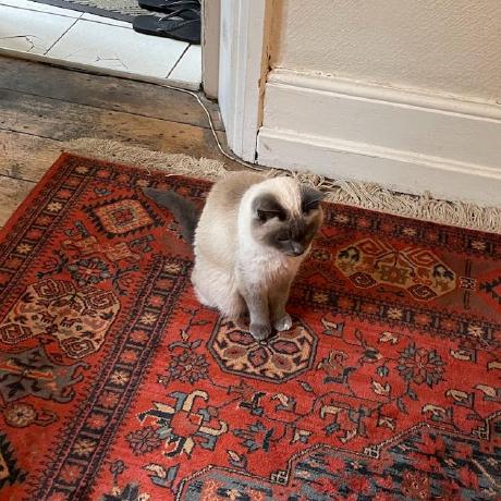 Github Kanbara Kaede Account Protecter - Best Mountain Textures in High Resolution