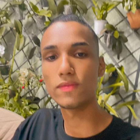 Zero Code Maker Rikerdaves Alencar Github - Desktop Minimal Pictures for Desktop