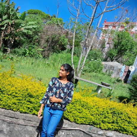 Brindha Pro Github - Desktop Light Pictures for Desktop