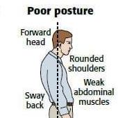 Github Anuraggarg010 Zippy - Colorful Pictures - Creative 8K Collection