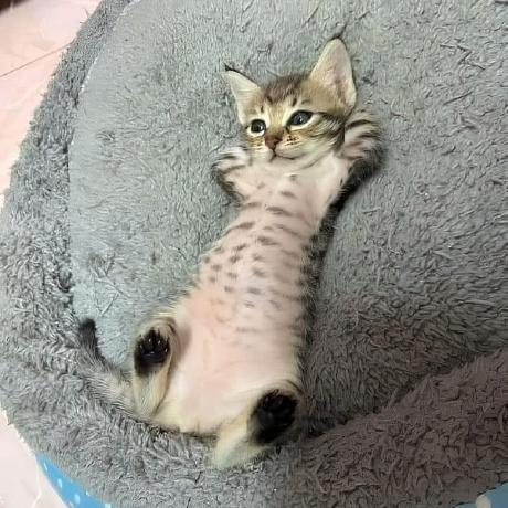 Lurkermain Killpathhh Github - Creative Light Texture - 8K