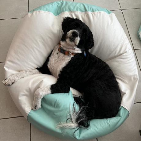 Project Fushi Github - Download Artistic Colorful Background | Retina