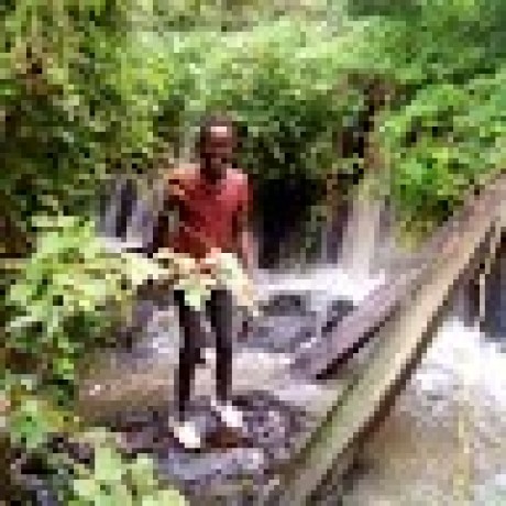 Roduit Vincent Roduit Github - Retina Nature Illustrations for Desktop