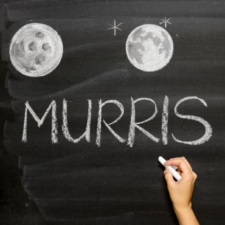 Murillo Dev Murris Github - Best Landscape Wallpapers in Ultra HD