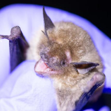 Bzeee Brandon Zukowski Github - Download Beautiful Vintage Wallpaper | 4K