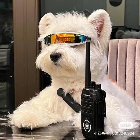 Github Joytzuwon Joy Luo - Download High Quality Minimal Picture | 4K