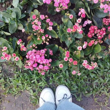 Yee Yee Mon Github - High Resolution Space Patterns for Desktop