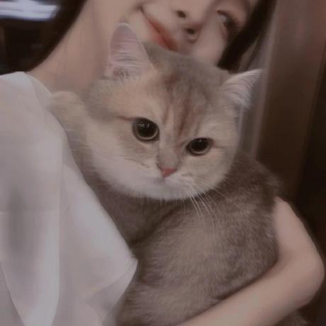 Ashleyleech Ashley Leech Github - Download Artistic Sunset Design | High Resolution