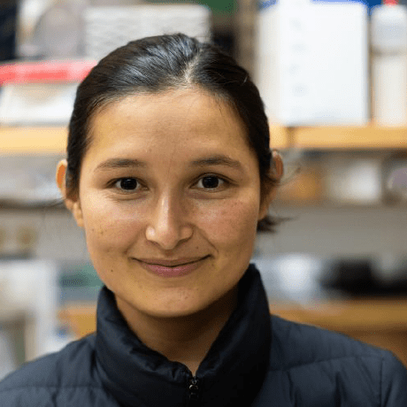 Baqir Git Code Github - 4K Mountain Photos for Desktop