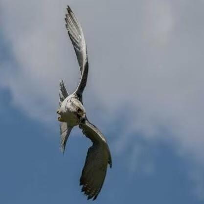 Lux John Luxford Github - Download Creative Geometric Illustration | Ultra HD