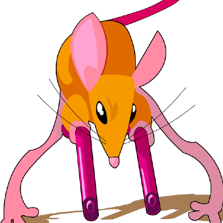 Shotgun Jerboa Github - Full HD City Wallpapers for Desktop