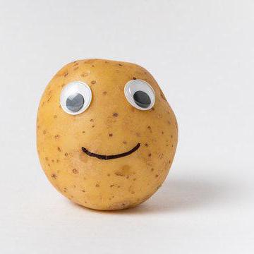 Github Arupduttabappy Tomato Potato Classifier Python - Premium Vintage Wallpaper Gallery - 4K