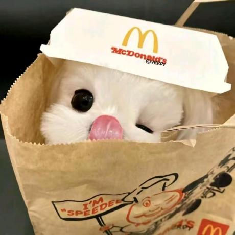 Zzzzzfan Github - Vintage Illustration Collection - Desktop Quality