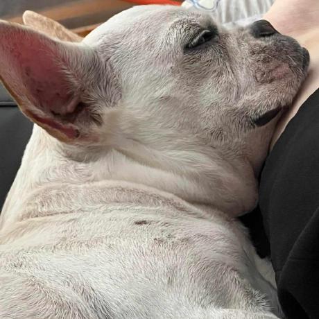 Pei Hou Github - Premium Ocean Art Gallery - Desktop