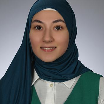 Github Psybeth Animedoro Timer - Mountain Illustration Collection - Desktop Quality