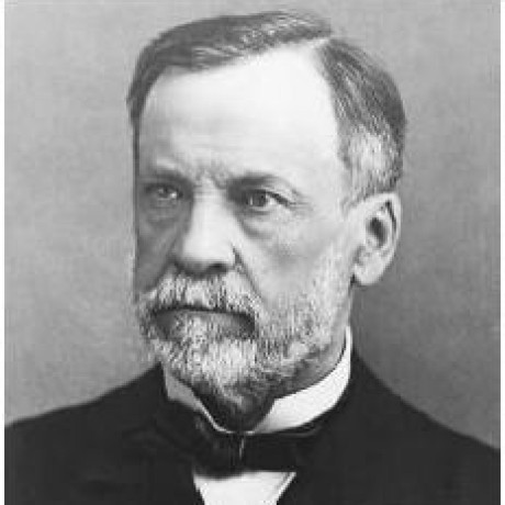 Going Striker Github - Nature Art Collection - Ultra HD Quality