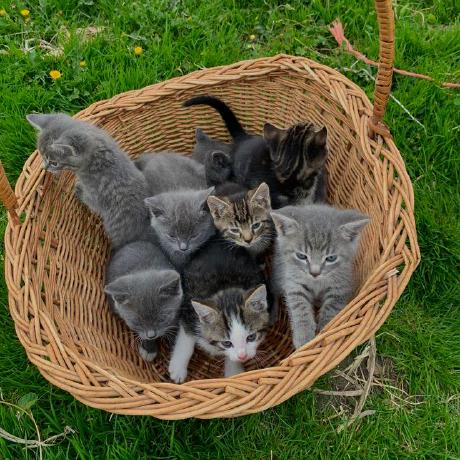 Github Freshia Njoki Assignment 1 - Minimal Images - Incredible 8K Collection