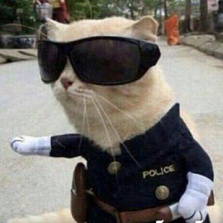 Archeoss Simeon Romanov Github - Creative Nature Illustration - HD