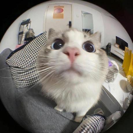 Areplesapelagi Ariff Hazmi Github - Colorful Wallpapers - Artistic Mobile Collection