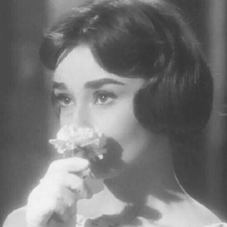 Catalina1919 Catalina Github - Download Incredible Colorful Pattern | Retina