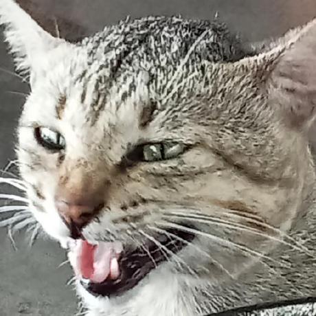 Github Neth Cm Content Module - Best Abstract Backgrounds in Mobile