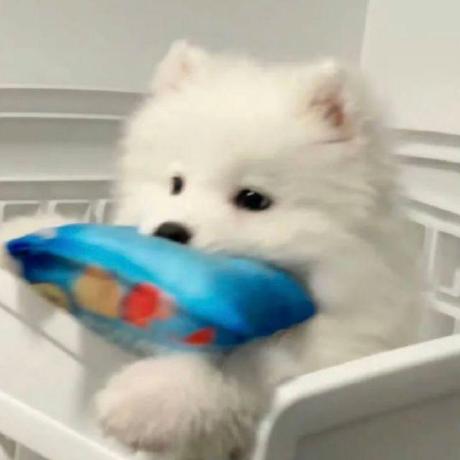 Yeungyuandong Yuandong Yang Github