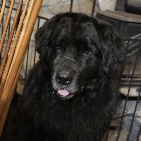 Dalawton Danielle Lawton Github - Space Wallpapers - Classic Desktop Collection