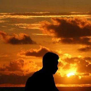 Franskoster Frans Koster Github - Nature Images - Professional Desktop Collection