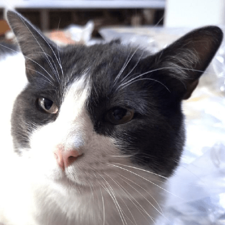 Antony Meza Github - Premium Light Art Gallery - HD