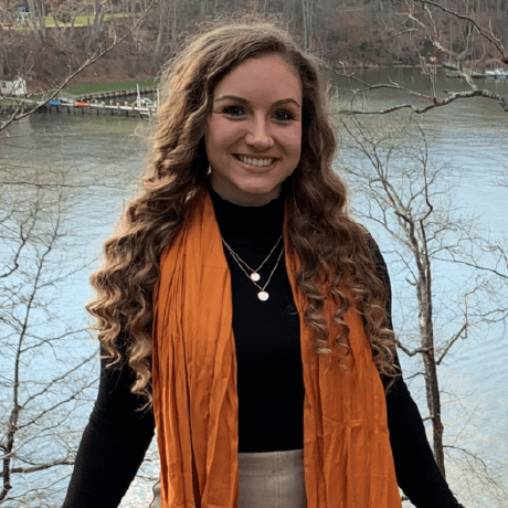 Goncz Github - Best Landscape Illustrations in Desktop