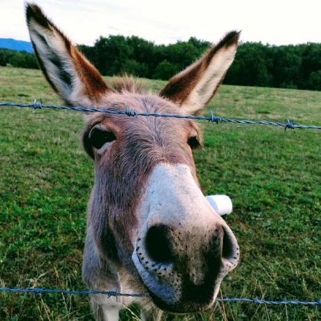 Github Santi 223 Plantilla - Mobile Dark Wallpapers for Desktop