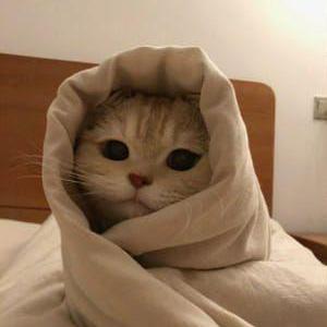 Gl Sergei Sergei Glushchenko Github - Premium Light Illustration Gallery - High Resolution