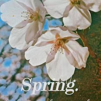 Munume Ximi Github - Creative Full HD Sunset Textures | Free Download