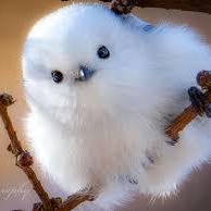 Monesbahha Mones Bahha Github - Download Amazing City Picture | Full HD