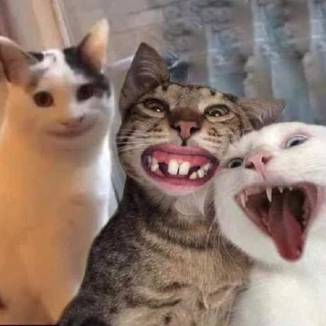 Is207 Nhom 3 Github - Mobile Sunset Arts for Desktop