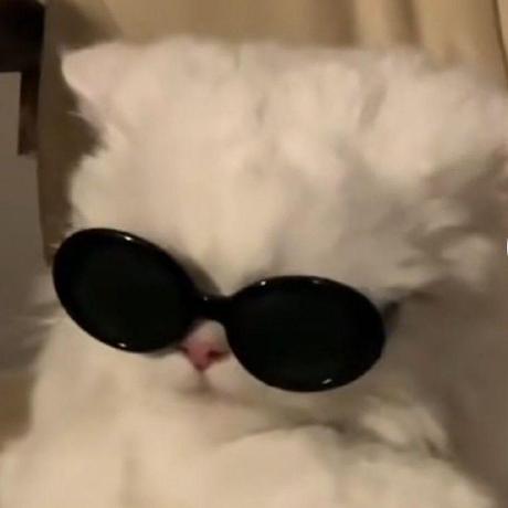 Shan Ans Github - Premium City Design Gallery - 4K