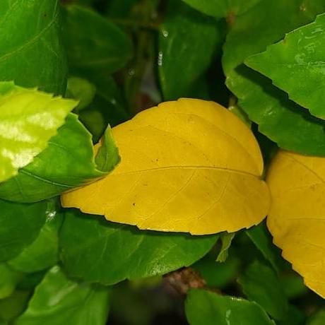 Sahithyacherukuri Sahithya Cherukuri Github - Download Professional Landscape Photo | Retina