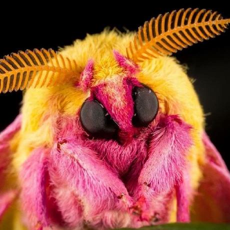 Tabaxcs Emanuele Tabarrini Github - Colorful Arts - Amazing 4K Collection