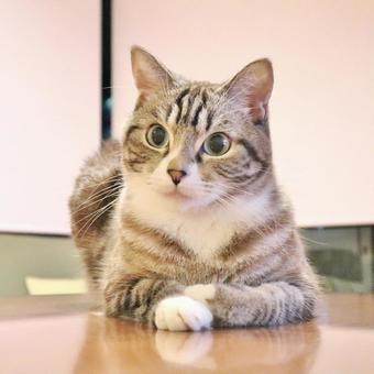 Fushigina Ken Github - Premium Space Photo Gallery - Retina