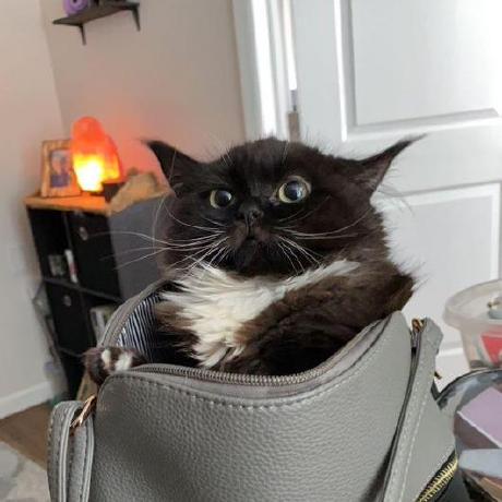 Github Sabina Teach Porsche - Premium Ocean Illustration Gallery - 8K