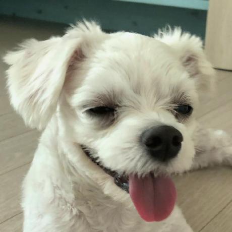 Gwang Choon Github - Abstract Designs - Elegant Mobile Collection