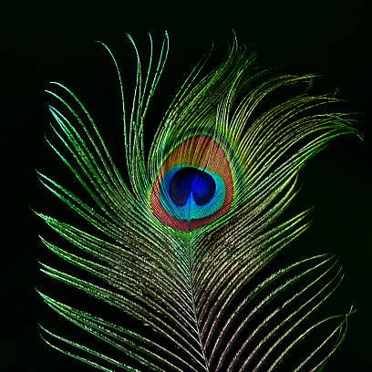 Tulasi314 Tulasi Github - Best Abstract Images in Mobile